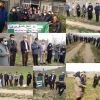 روز مزرعه و روز انتقال یافته های کلزا در شهرستان رودبار برگزار شد. 